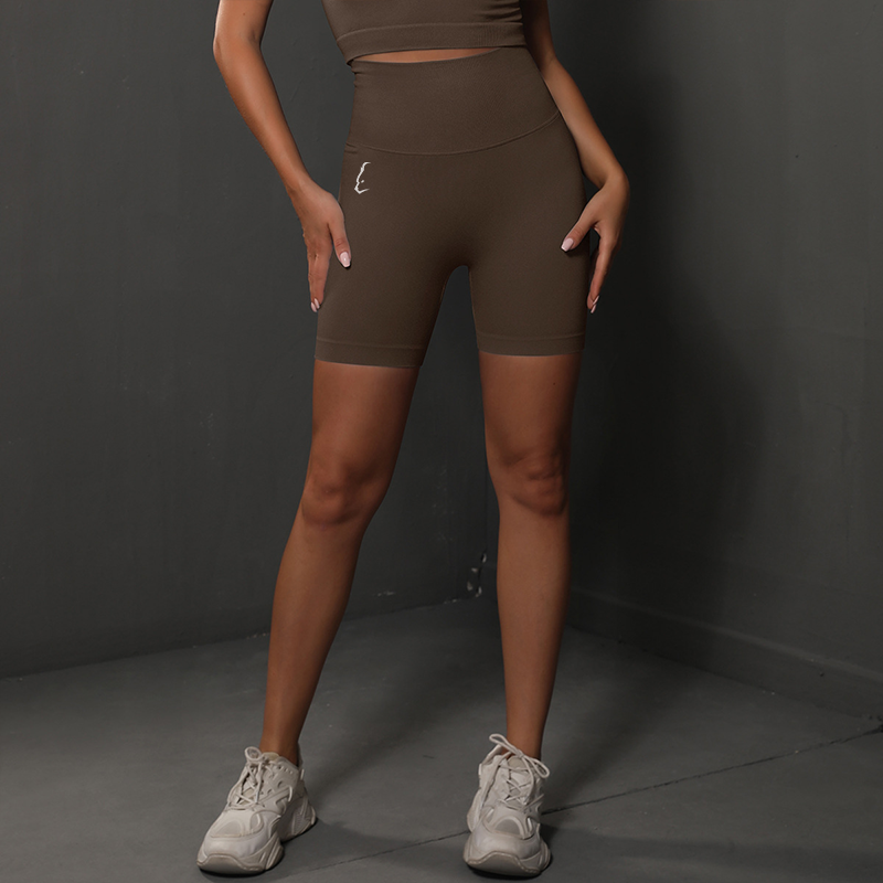 Elevate Seamless Shorts - High Waist